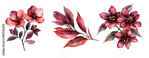 Set Burgundy Alstromedia watercolor clipart isolated