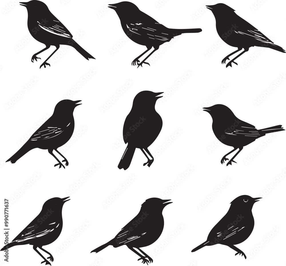 Silhouette Bird Illustrations: Vector Graphic Set of Small Songbirds Perched, Singing, Black and White Ornithology Art for Design Projects Silhouette Bird Illustrations: Vector Graphic Set of Small Songbirds Perched, Singing, Black and White Ornithology Art for Design Projects