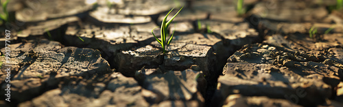 A close-up of dry, cracked soil with sparse patches of green grass emerging from the cracks. The contrast between the arid soil and resilient grass highlights a story of growth and survival in harsh c photo