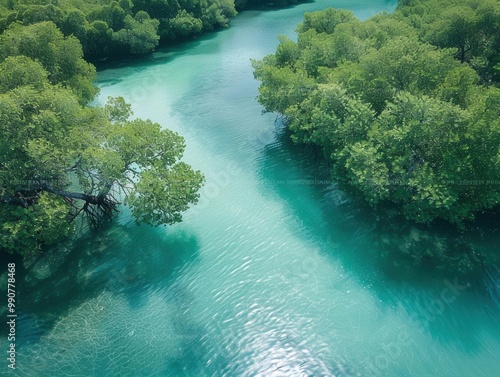 Tropical mangroves, diverse wildlife, high tide, bird's-eye view, lush greenery, clear waters, wide-angle lens, vibrant ecosystem