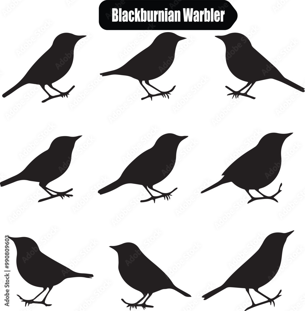 Fototapeta premium Blackburnian Warbler Silhouette Vector: Bird Illustration Set, Ornithology Art, Wildlife Graphic Design, Black and White Clip Art, Nature Icon Pack
