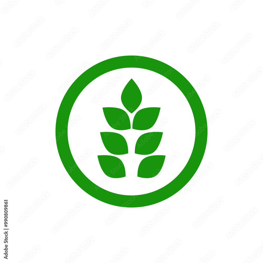 Green gluten symbol. Icon of healthy food. Corn icon in green color. Green gluten symbol. Icon of healthy food. Corn icon in green color.