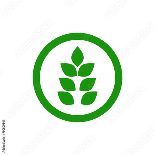 Green gluten symbol. Icon of healthy food. Corn icon in green color.