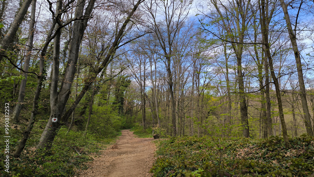 early spring in national park Fruska Gora early spring in national park Fruska Gora