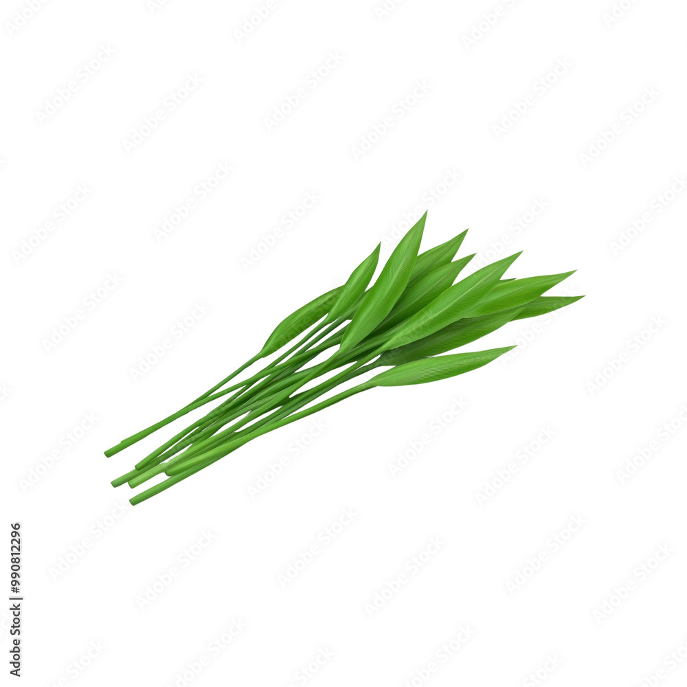 Fresh Green Pandan Leaves Isolated on White Background Fresh Green Pandan Leaves Isolated on White Background