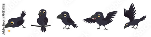 Funny cartoon Black crows, birds in different poses and characters