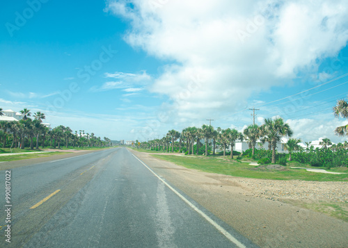 Tree lined street row of palm trees with white painted beach condo, high-rise building along State Park Road 100, Ocean boulevard near downtown South Padre Island, Texas, tropical travel vacation