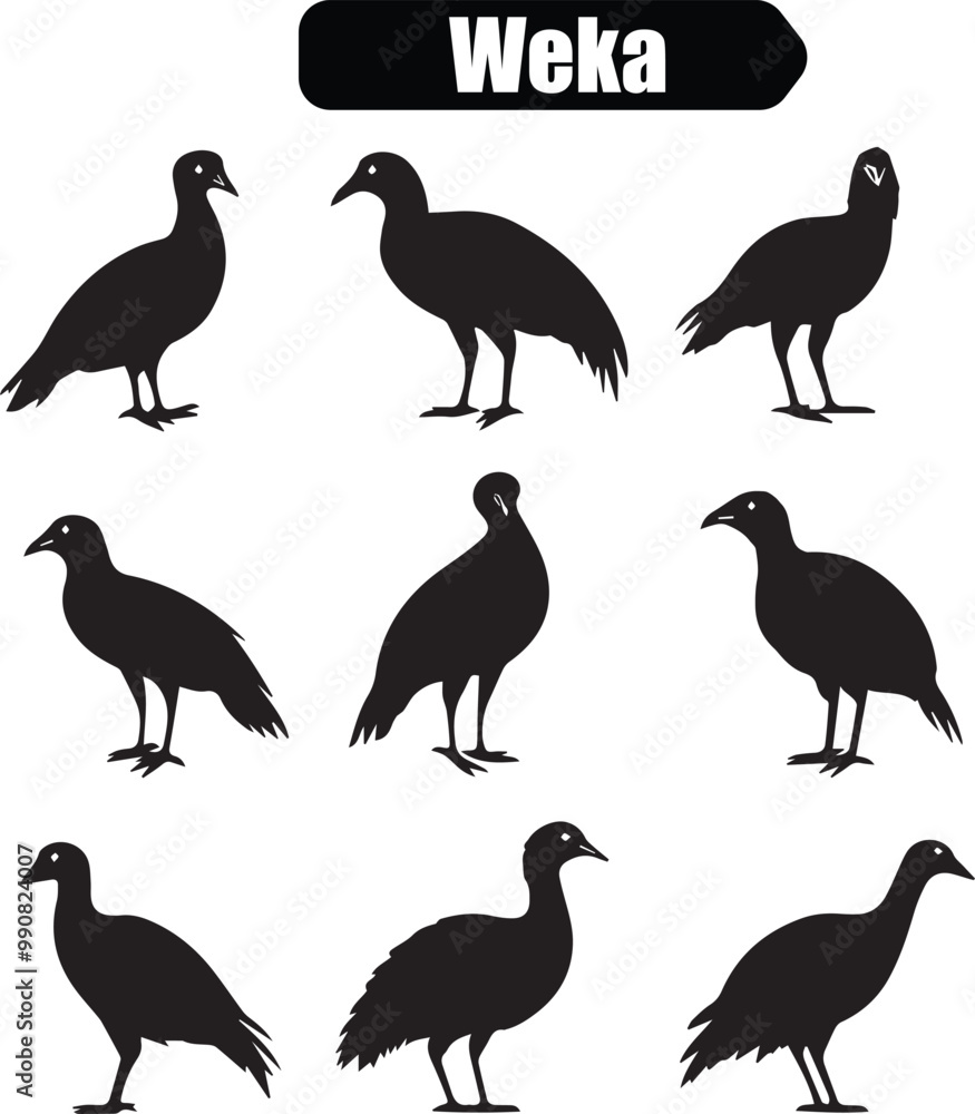 Obraz premium Weka Bird Silhouette Vector Illustration: New Zealand Native Bird Graphics, Wildlife Art, Black and White Animal Clipart, Vector Design Elements