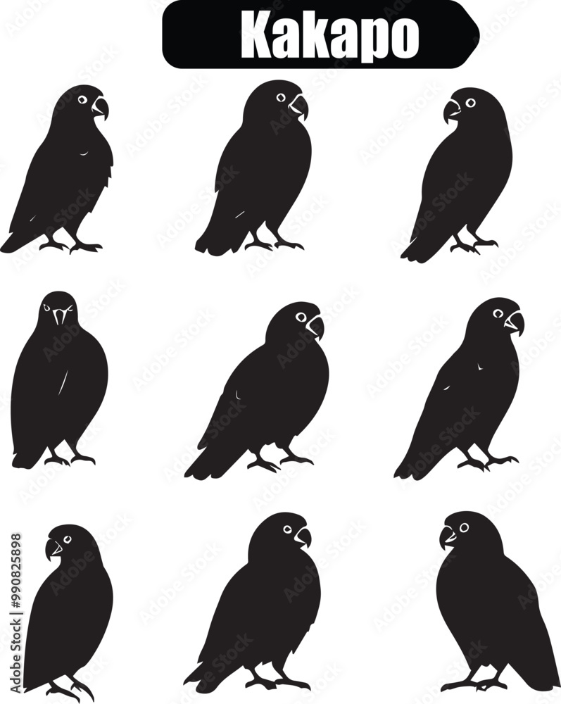 Naklejka premium Kakapo Parrot Silhouette Vector Illustration: Endangered New Zealand Bird Graphic, Wildlife Conservation Art, Black and White Design, Bird Icon Set