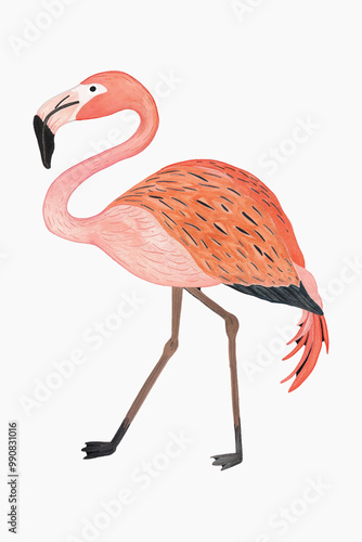 Vibrant flamingo watercolor art