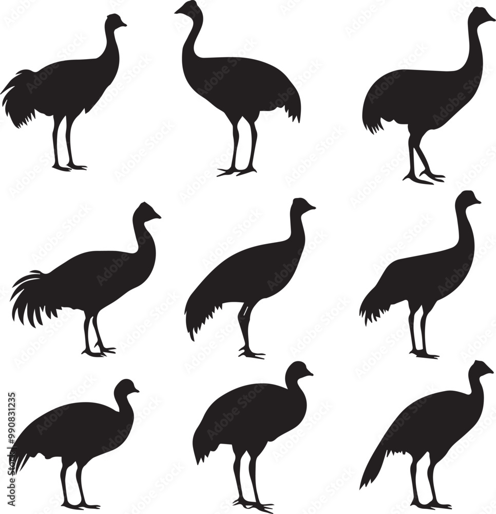 Obraz premium Rhea Versatile Black Silhouette Vector Series