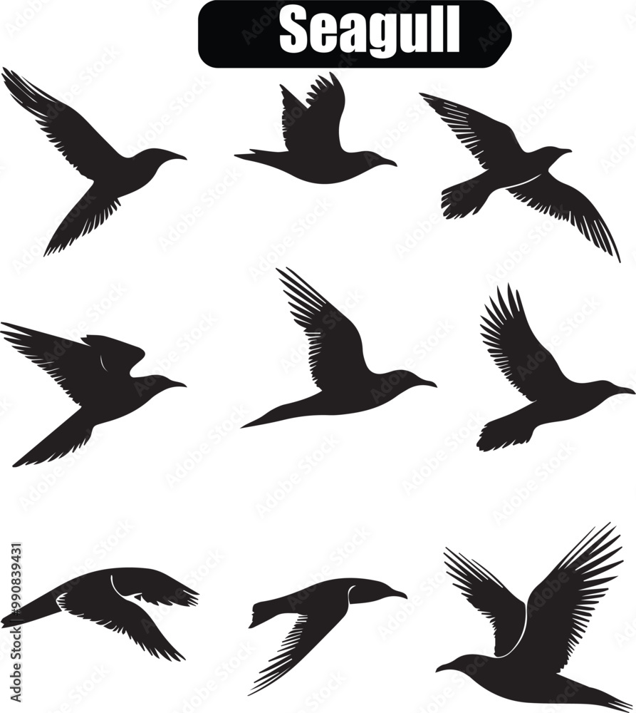 Obraz premium Seagull Artistic Silhouette Elements in Black