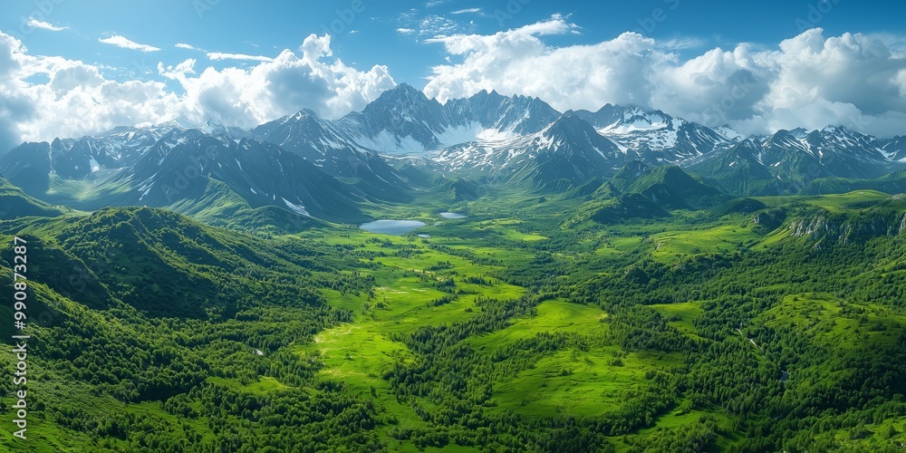 Fototapeta premium Aerial View of Lush Green Valley in Mountains