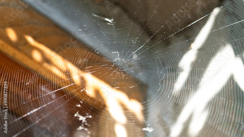 Close-up of a spider's web in a corner outside a house on a sunny day