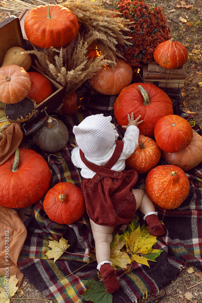 A beautiful baby girl of 8 months in a hat and a suit lies in nature at sunset in the evening with pumpkins around on Halloween