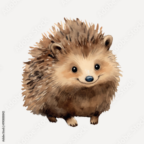 Cute watercolor hedgehog illustration