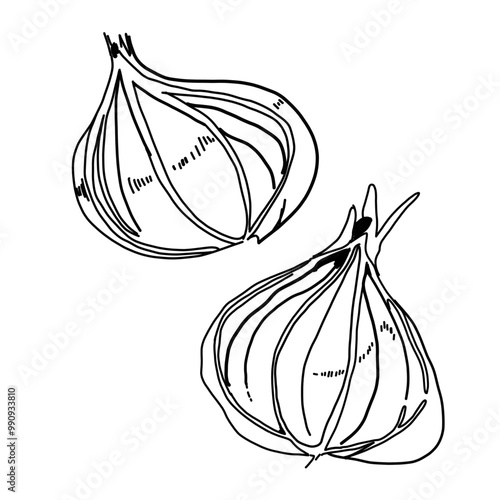 食べ物のシンプルなイラスト（玉ねぎ）