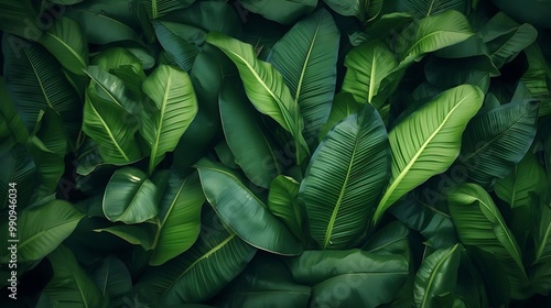 A dense arrangement of green leaves creating a lush, natural backdrop.