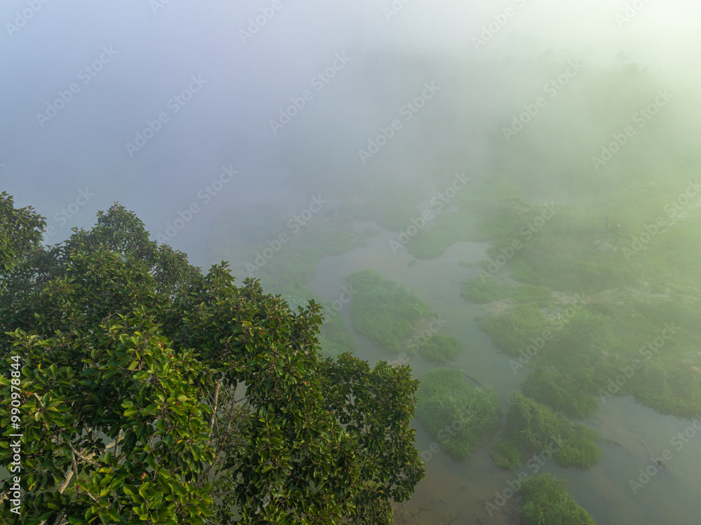 Fototapeta premium Tropical rainforest morning sunrise with fog through river nature landscape