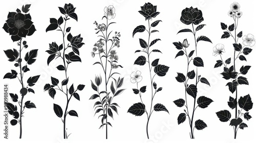 Design black silhouette illustrations of spooky Halloween Camellia in set of collection ,with bold lines and simple design, placed on a white background 