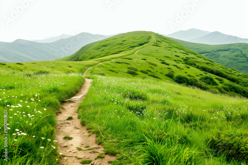 Summer landscape in mountains with trail isolated on white background