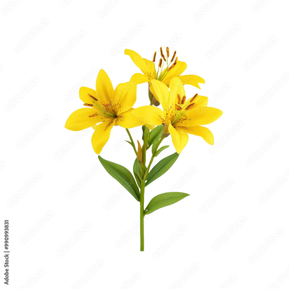 Fototapeta premium Yellow Lily Flower Bouquet