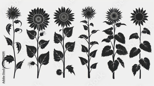 Design black silhouette illustrations of spooky Halloween Sunflower in set of collection ,with bold lines and simple design, placed on a white background 
