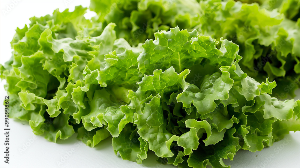 A group of fresh, leafy lettuce heads, with their crisp, curly edges, on a clean white background, A group of fresh, leafy lettuce heads, with their crisp, curly edges, on a clean white background,