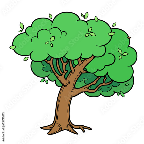 Large leaning deciduous tree color variation isolated on white background