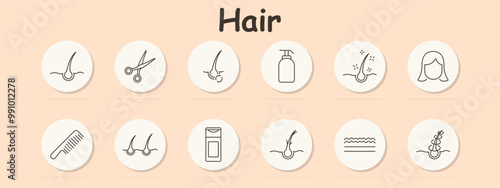Hair set icon. Hair follicle, scissors, root, shampoo, healthy scalp, person with hair, comb, restoration, conditioner, split ends, wavy hair, braid.