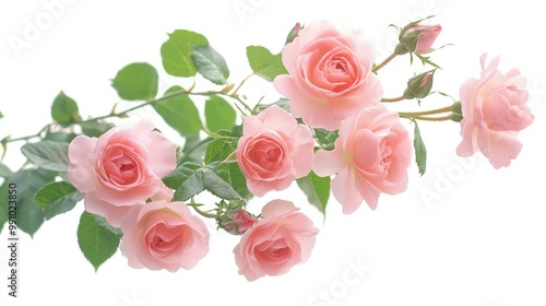 A delicate bunch of pink roses in full bloom, beautifully arranged with green leaves, set against a bright white backdrop, ideal for wedding or romantic themes.