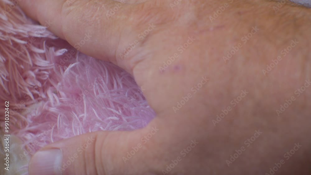 The hand of a craftsman gently touches a piece of faux fur. Close-up. The hand of a craftsman gently touches a piece of faux fur. Close-up.