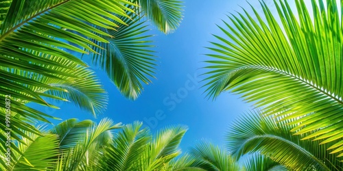 Green palm leaves against a clear blue sky, tropical, nature, palm tree, exotic, foliage, tropical leaves, greenery