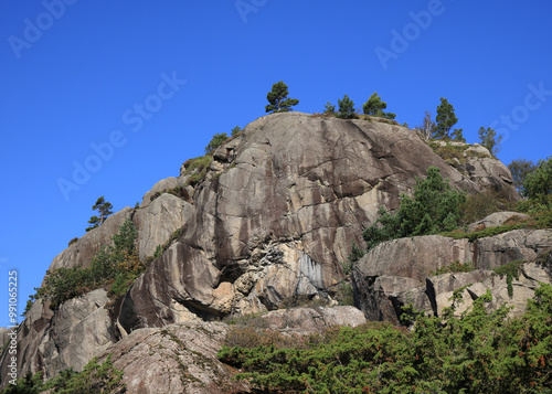 Trees growing on a rock formation in Rogaland, Norway. photo