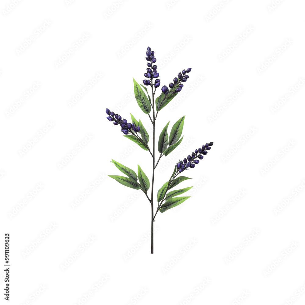 Fototapeta premium Purple Flower Sprig with Green Leaves