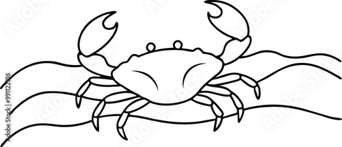 Scuttling Crab Vector Illustration for Kids Creative Coloring Adventure
 photo