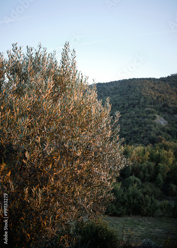Foto scattata al tramonto lungo la strada che connette Carrosio a Sottovalle.