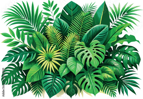 Tropical jungle plants showing lush green foliage