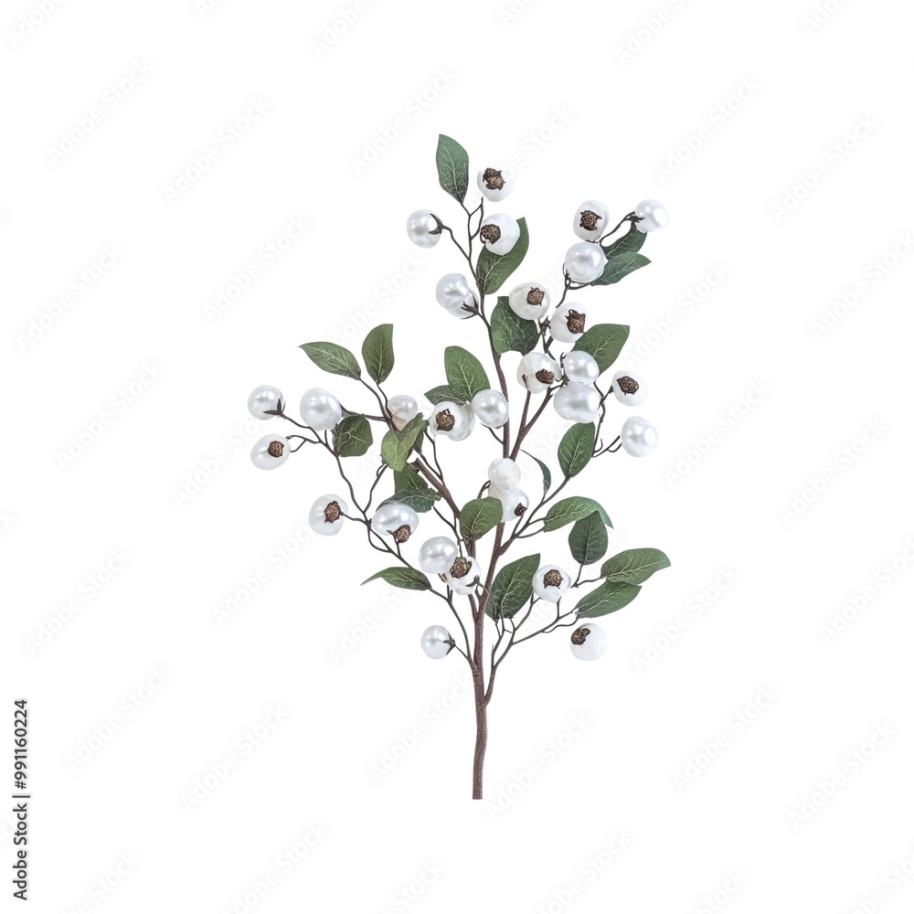White Berry Branch with Green Leaves White Berry Branch with Green Leaves