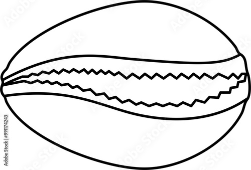 Cowrie shell icon outline illustration vector