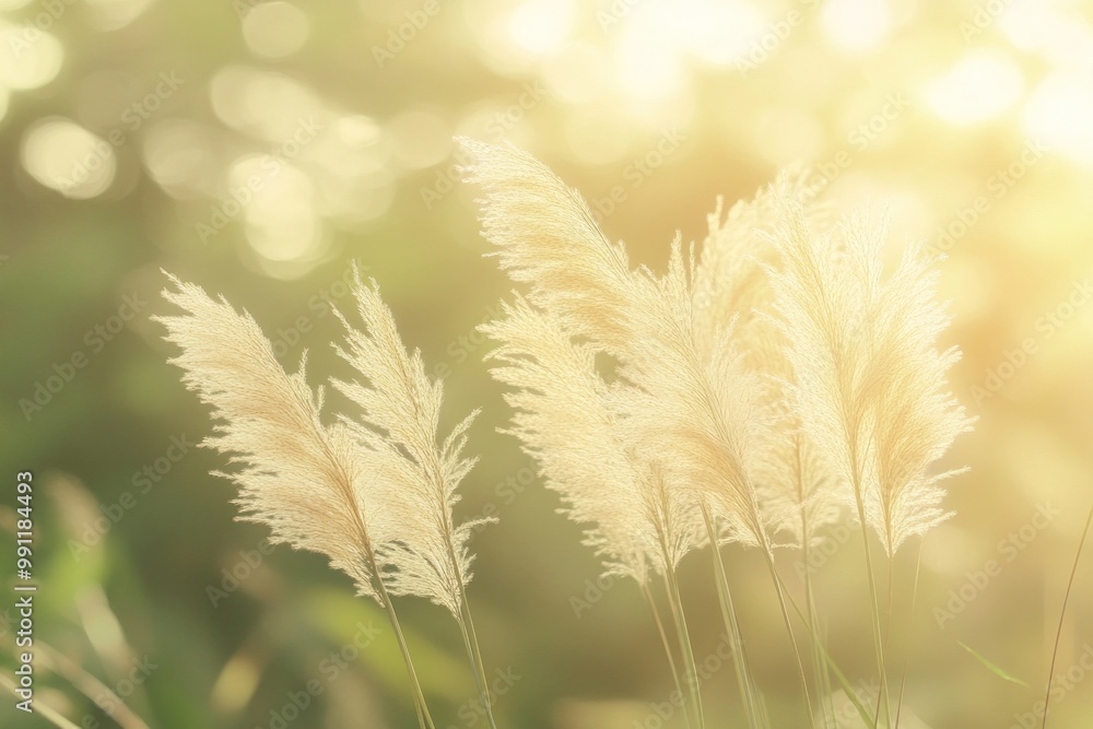 Soft golden pampas grass swaying in warm sunlight, creating a serene and tranquil atmosphere. Soft golden pampas grass swaying in warm sunlight, creating a serene and tranquil atmosphere.