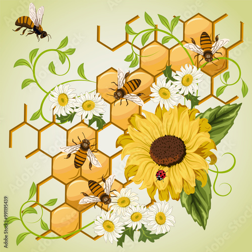 Honeycomb with bees and flowers.Honeycomb, bees and sunflowers in color vector illustration.