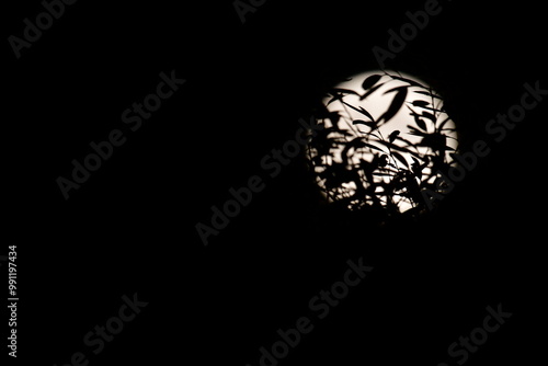 Full Harvest moon in the night sky, Kilkenny, Ireland.