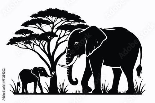 African Forest Elephant C.eps