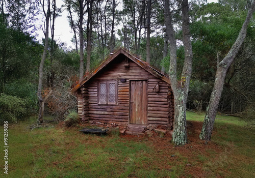 Real cabin in the woods