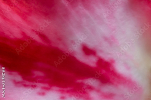 Empty red textured with shadows. Sparse texture and background