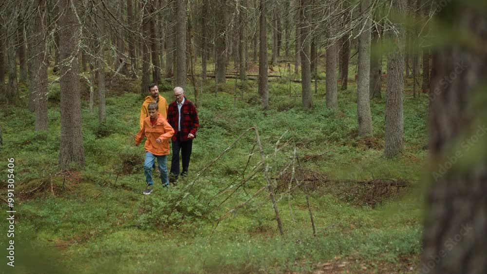 Grandfather, son and teenager grandson walk together along pathway in forest. Three male family generations enjoying bonding together, communication and strolling. Elderly and adult man, and teen boy Grandfather, son and teenager grandson walk together along pathway in forest. Three male family generations enjoying bonding together, communication and strolling. Elderly and adult man, and teen boy