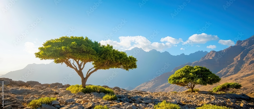 Two trees on rocky terrain with mountains in the background under a clear blue sky. Two trees on rocky terrain with mountains in the background under a clear blue sky.