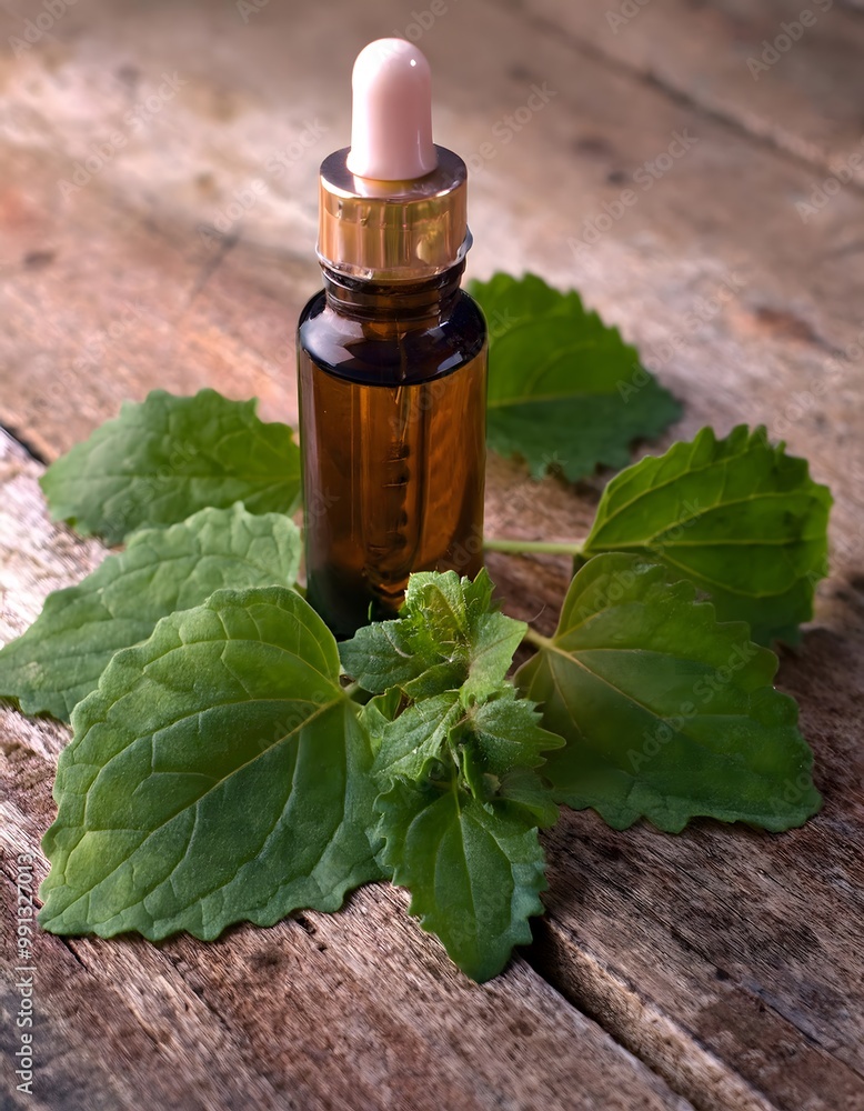 Patchouli Oil with Patchouli Leaves Patchouli Oil with Patchouli Leaves