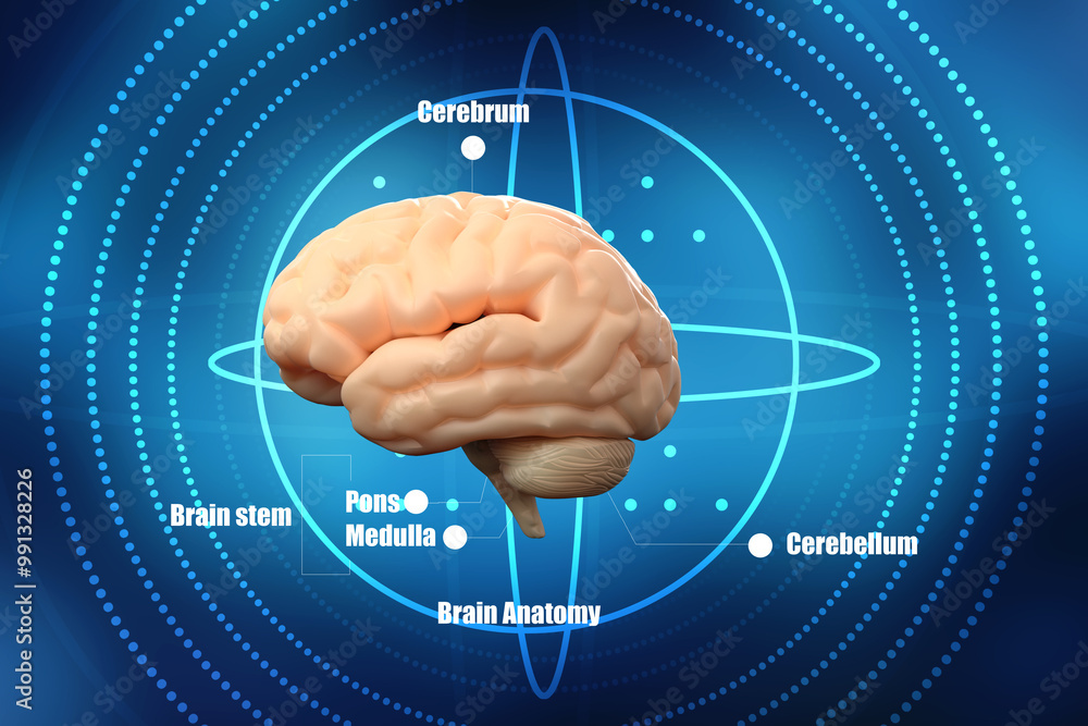 Fototapeta premium 3d illustration Human health brain